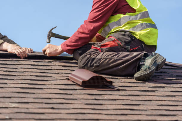 Best Storm Damage Roof Repair  in Coal Grove, OH