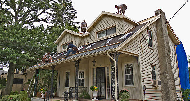 Best Roof Repair Services  in Coal Grove, OH
