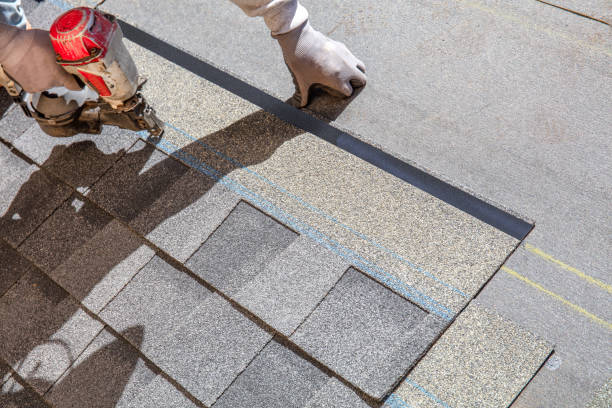 Best Roof Repair Specialists  in Coal Grove, OH